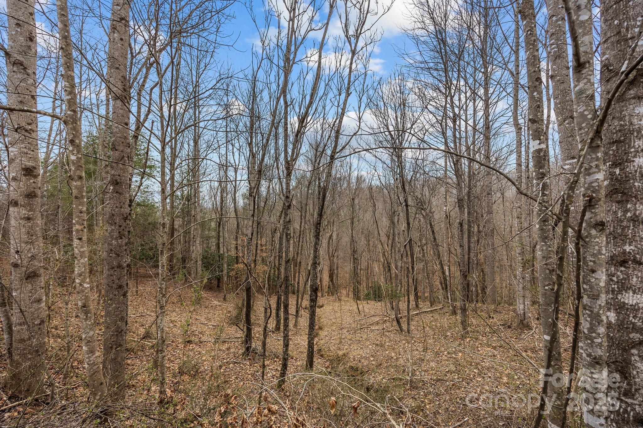 Property image 3 of Lot 106 Glenhaven Drive in Glenhaven, Marion, NC 28752