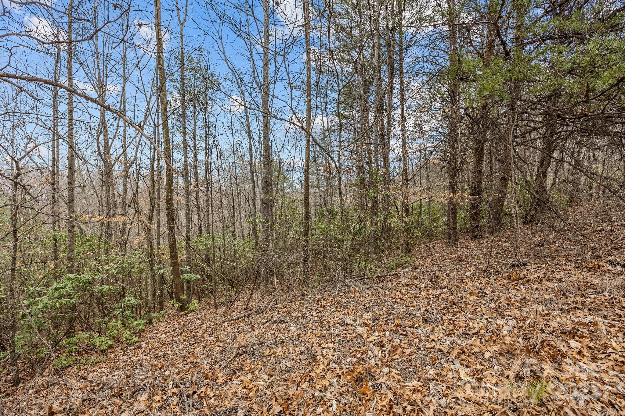 Property image 4 of Lot 106 Glenhaven Drive in Glenhaven, Marion, NC 28752