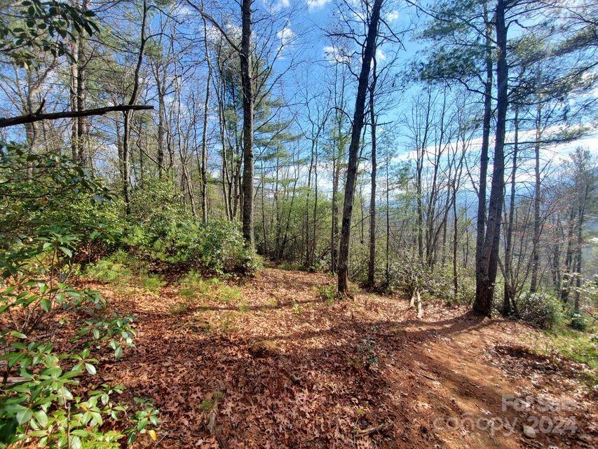 Property image 3 of 00 Elkins Road in Lewis Jarrett, Bakersville, NC 28705