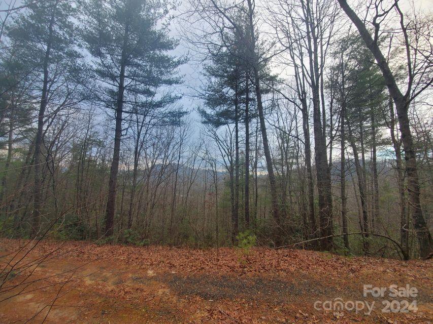 Property image 4 of 00 Elkins Road in Lewis Jarrett, Bakersville, NC 28705