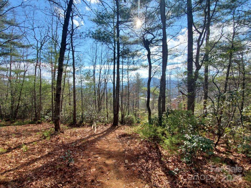 Property image 5 of 00 Elkins Road in Lewis Jarrett, Bakersville, NC 28705