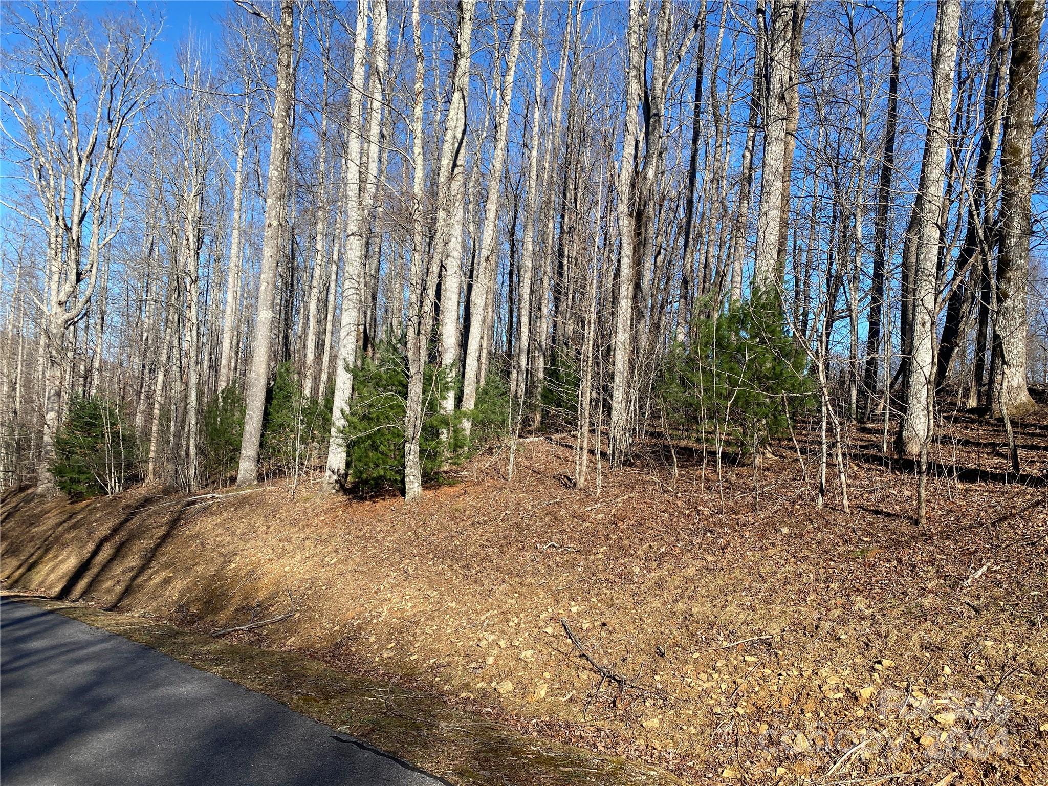 Property image 2 of Lot 3 Dragonfly Court in Mountain Brook Estates, Spruce Pine, NC 28714