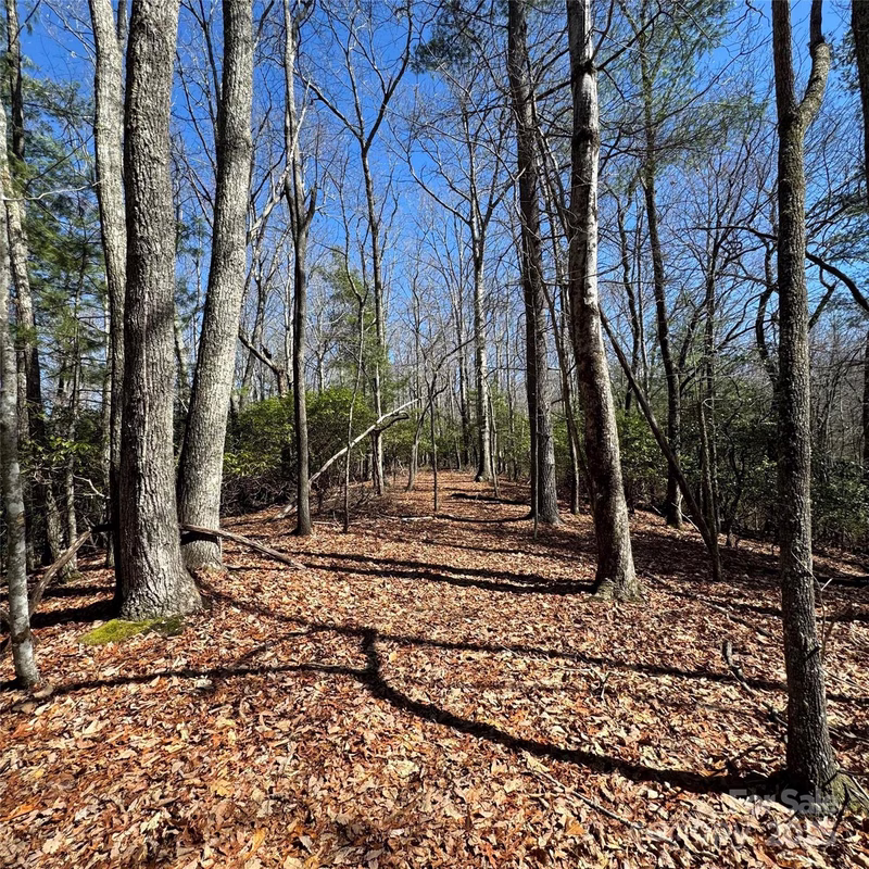 Property image 4 at Tract 32 B Kentwood Lane, Pisgah Forest, NC 28768