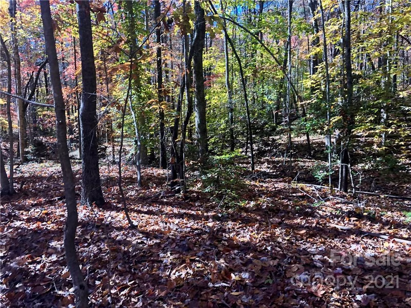 Property image 2 at Lot 45 N Haven Ridge Lane, Marion, NC 28752