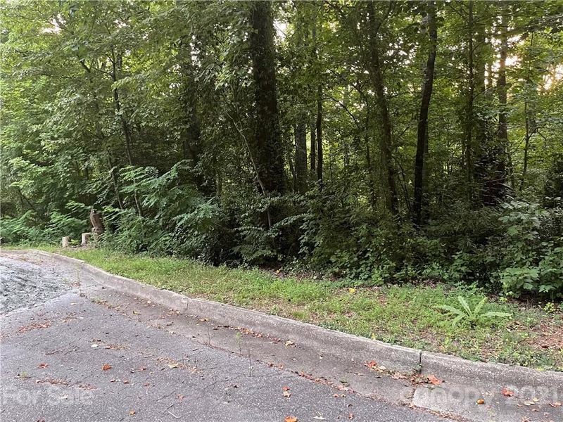 Property image 3 at 1714 Brentwood Court, Newton, NC 28658