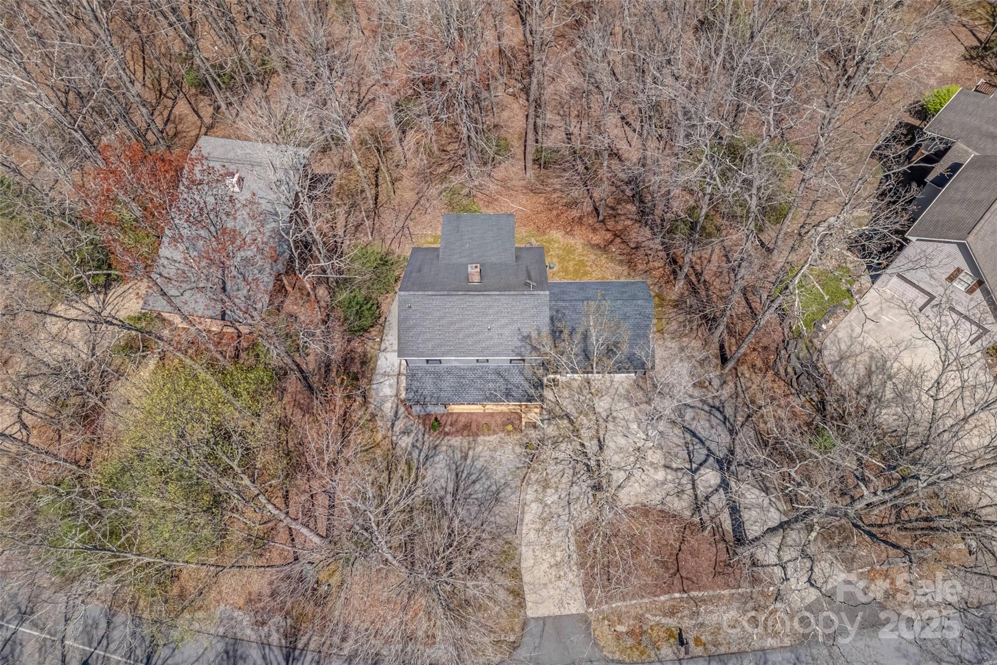 Property image 5 of 46 Wahuhu Court in Connestee Falls, Brevard, NC 28712