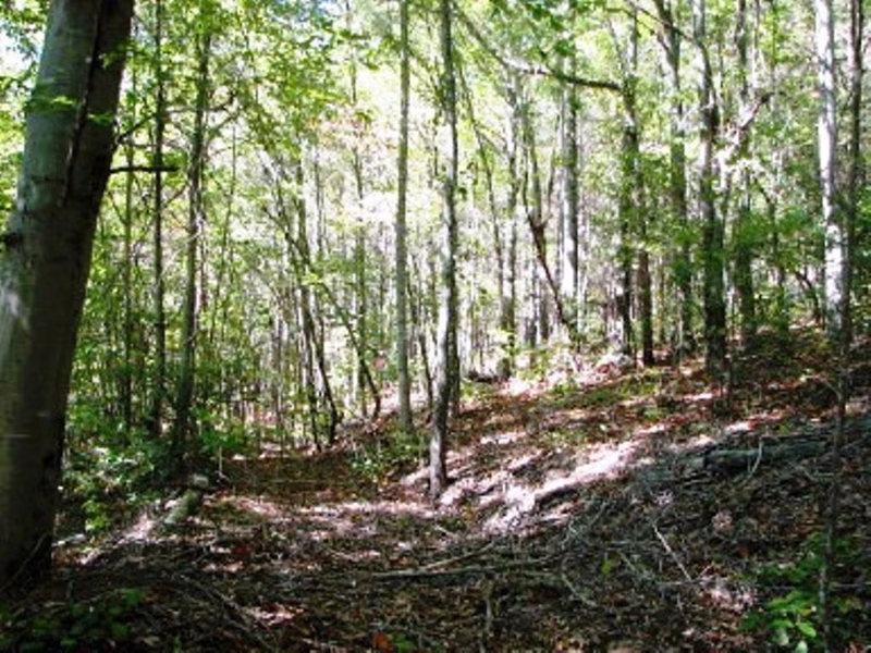 Property image 2 at 6133 Plantation Pointe Drive, Granite Falls, NC 28630
