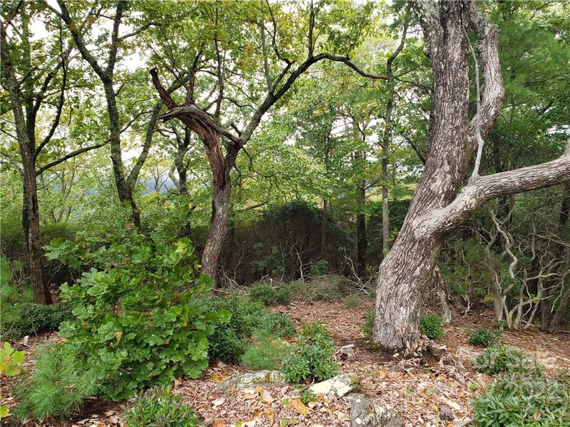 Property image 3 at 104 Windcliff Drive, Asheville, NC 28803