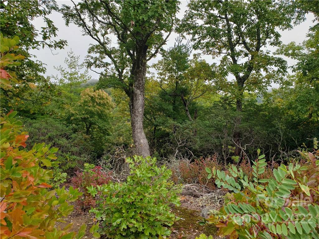Property image 2 of 104 Windcliff Drive in Poplar Ridge, Asheville, NC 28803