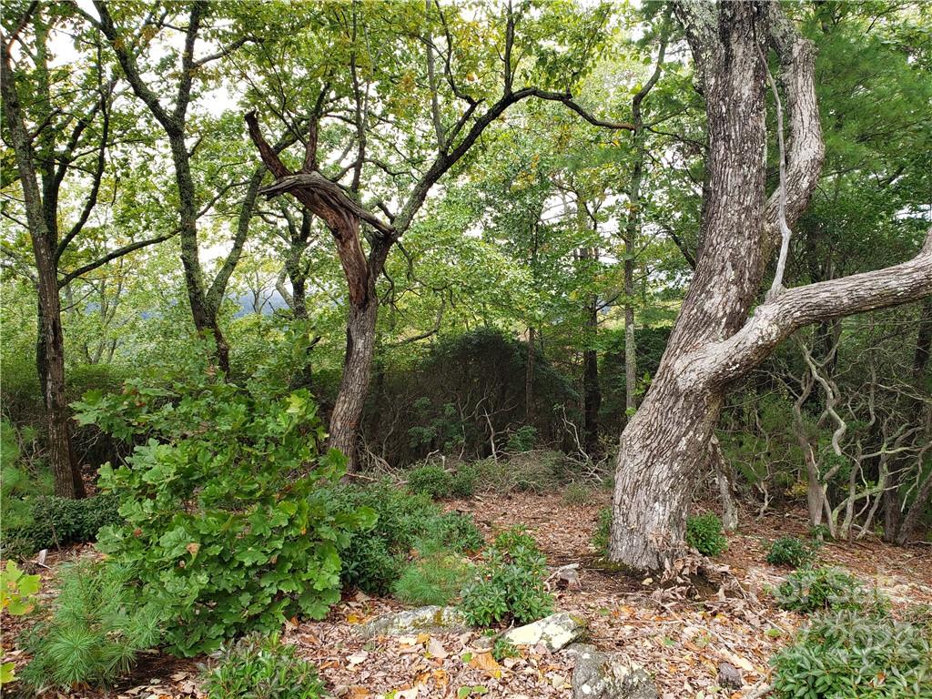 Property image 3 of 104 Windcliff Drive in Poplar Ridge, Asheville, NC 28803