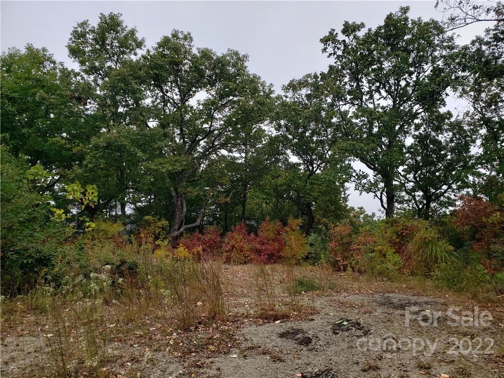 Property image 5 of 104 Windcliff Drive in Poplar Ridge, Asheville, NC 28803