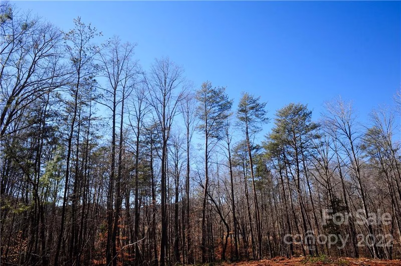 Property image 3 at 99999 Haven Ridge Lane, Marion, NC 28752