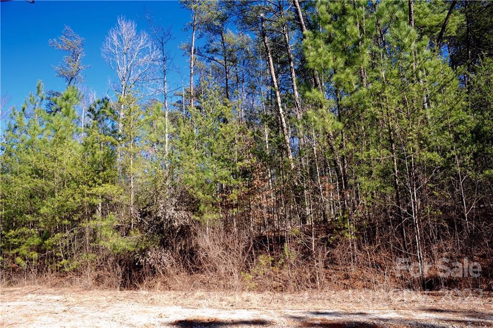 Property image 1 at 99999 Haven Ridge Lane, Marion, NC 28752