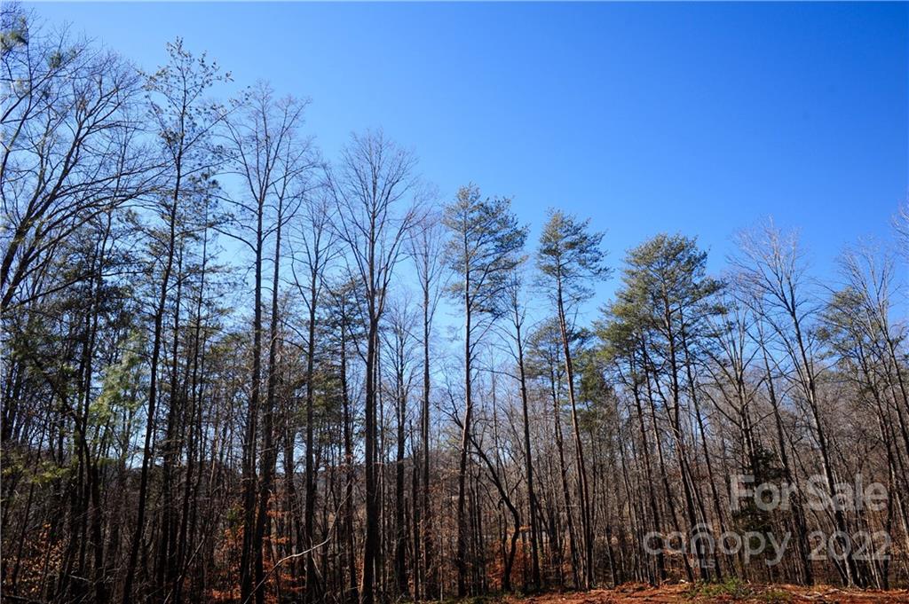 Property image 3 of 99999 Haven Ridge Lane in Haven Heights, Marion, NC 28752