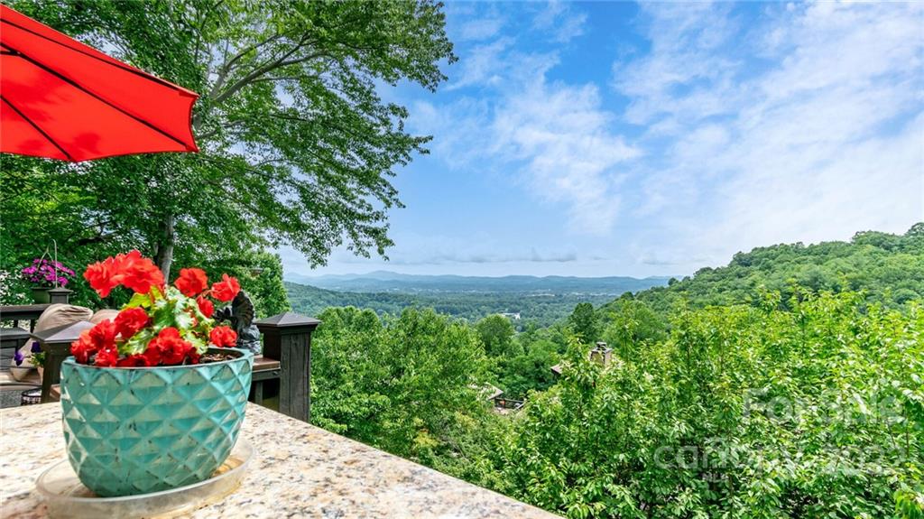Property image 2 of 149 Country Ridge Road in Country Ridge, Laurel Park, NC 28739