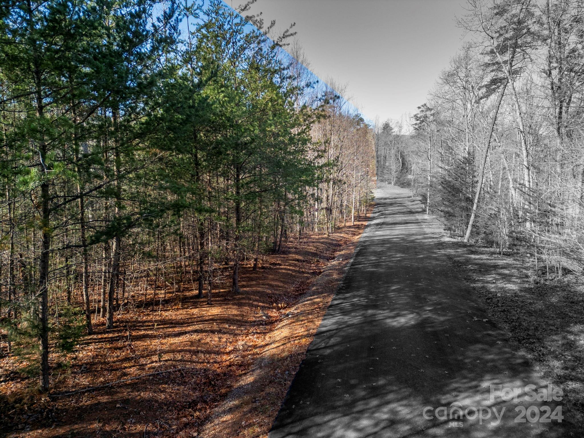 Property image 5 of 0 Forest Country Drive in Forest Heights, Marion, NC 28752