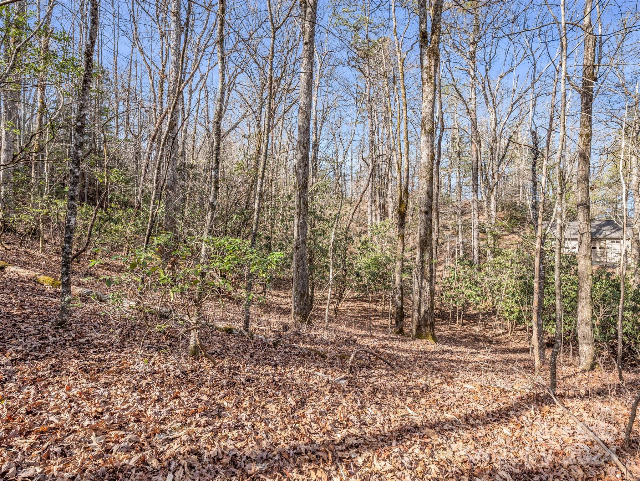 Property image 4 of Tbd Adayahi Court in Connestee Falls, Brevard, NC 28712