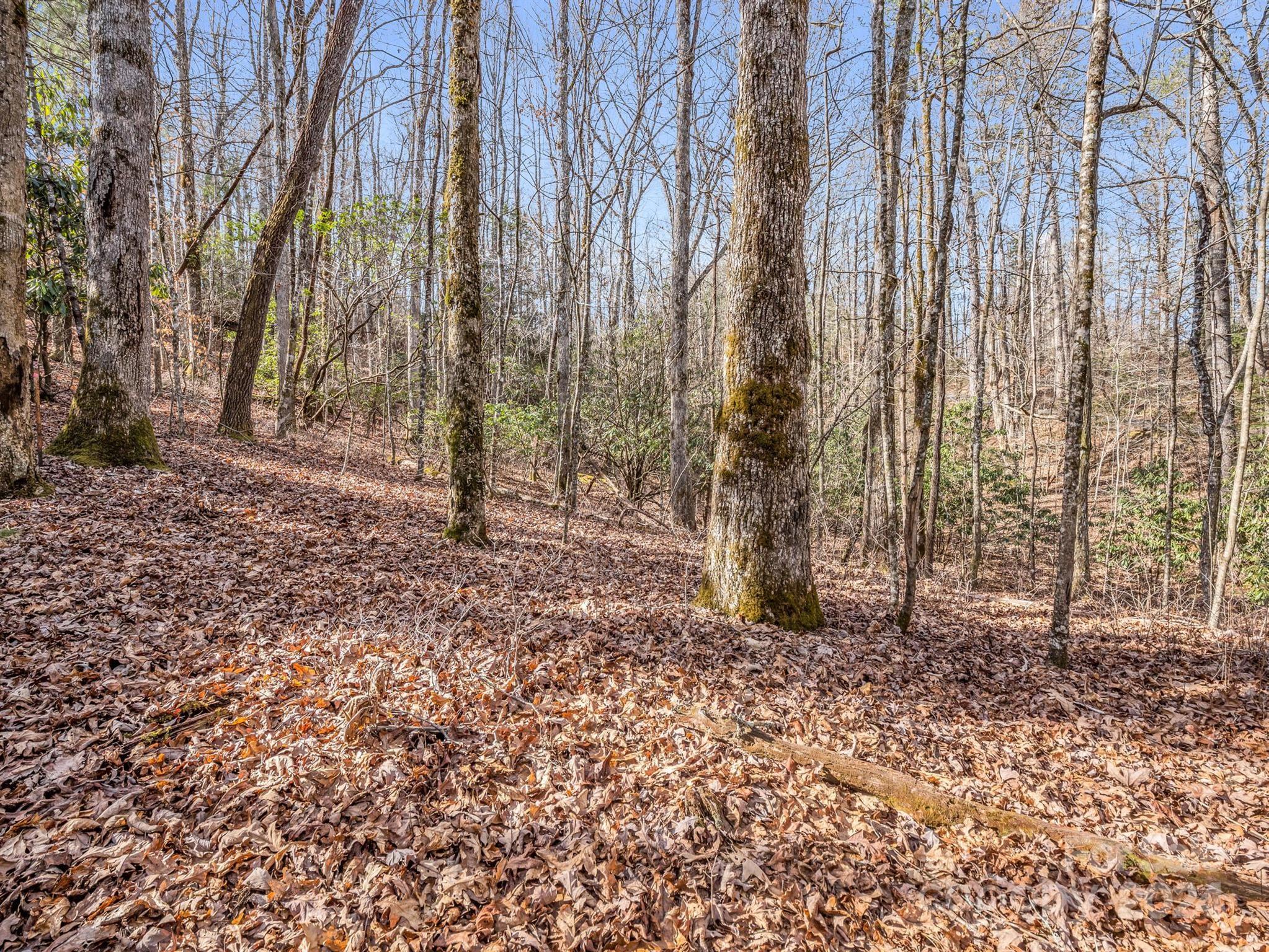 Property image 5 of Tbd Adayahi Court in Connestee Falls, Brevard, NC 28712
