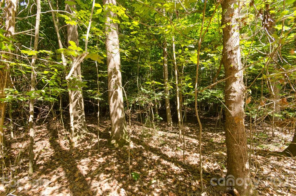 Property image 4 of Lot 9a Lee Lawing Road in Lincoln Estates, Lincolnton, NC 28092