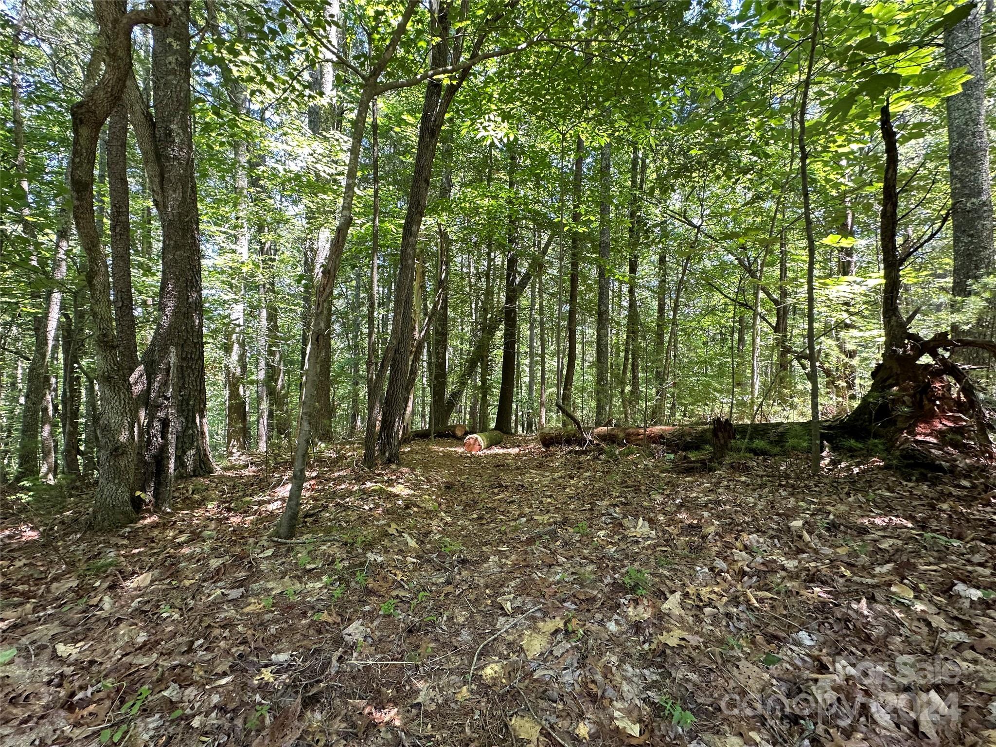 Property image 3 of 518 Old Wildlife Club Drive in Old Wildlife Club, Nebo, NC 28761