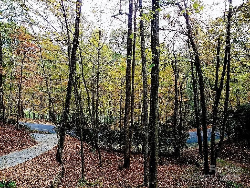 Property image 4 of 4122 Connestee Trail in Connestee Falls, Brevard, NC 28712