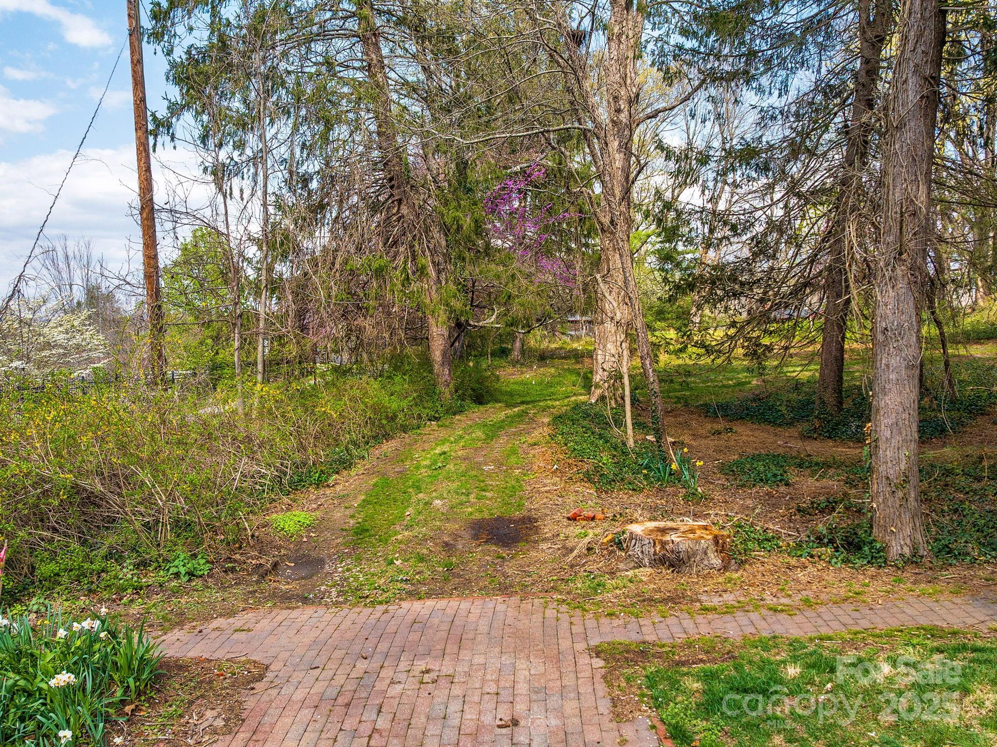Property image 5 of 99999 Cumberland Avenue in Montford, Asheville, NC 28801