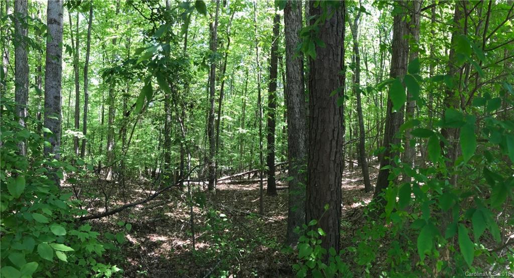 Property image 5 of Lot 35 Kenway Loop in Fernleaf, Mooresville, NC 28117