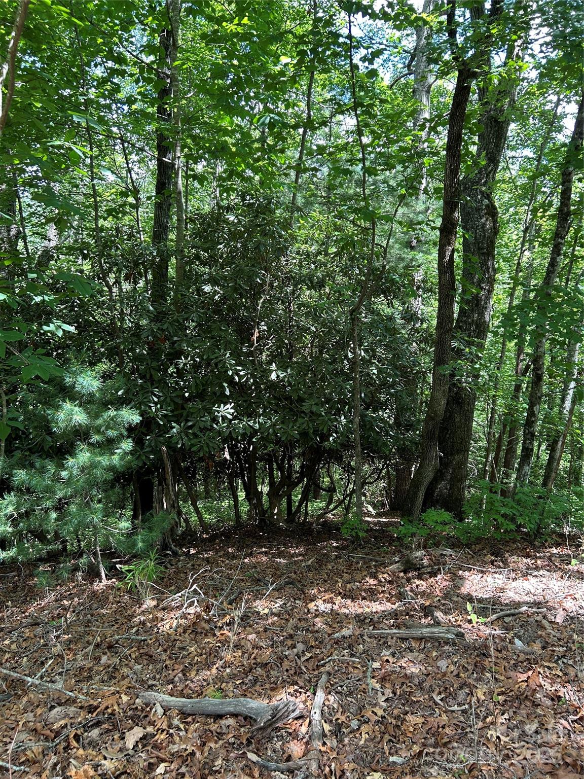 Property image 2 of Tbd Galvloi Court in Connestee Falls, Brevard, NC 28712
