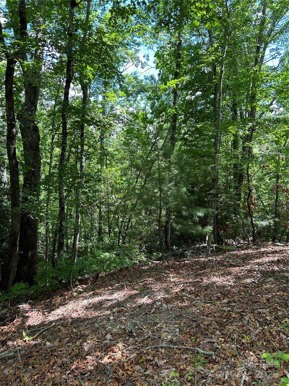 Property image 3 of Tbd Galvloi Court in Connestee Falls, Brevard, NC 28712