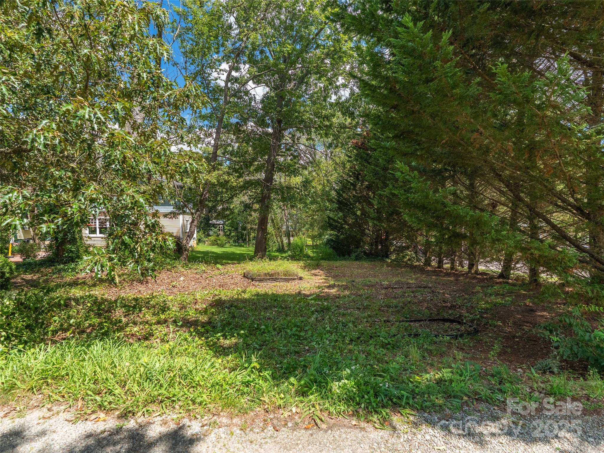 Property image 3 of 99999 Blake Street in Montford, Asheville, NC 28801