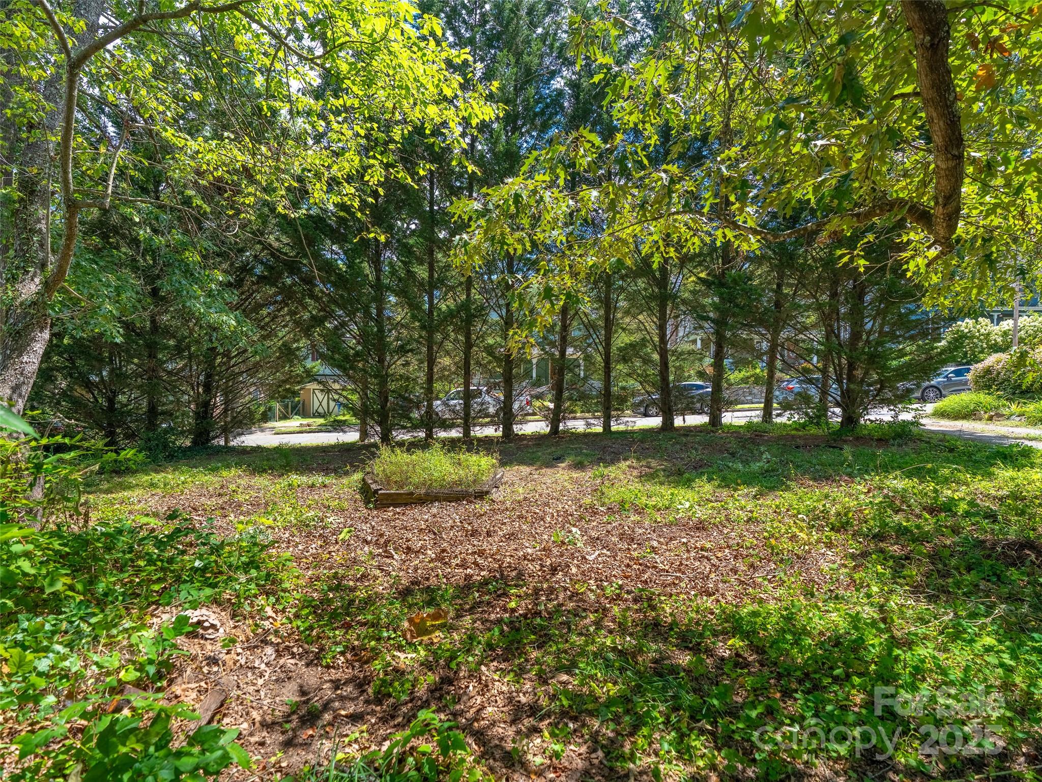 Property image 5 of 99999 Blake Street in Montford, Asheville, NC 28801