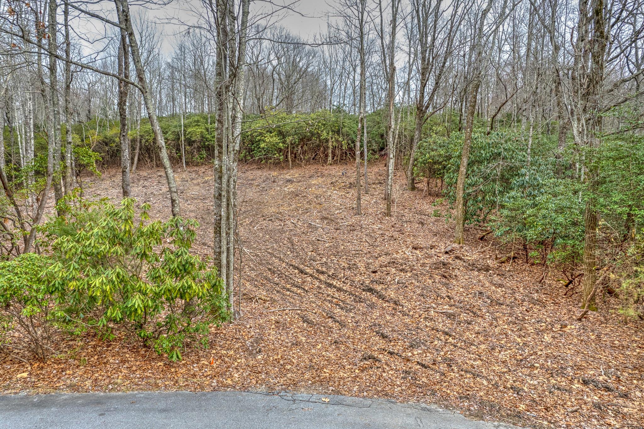 Property image 2 of Tbd School House Drive in Pisgah Forest Farms, Pisgah Forest, NC 28768