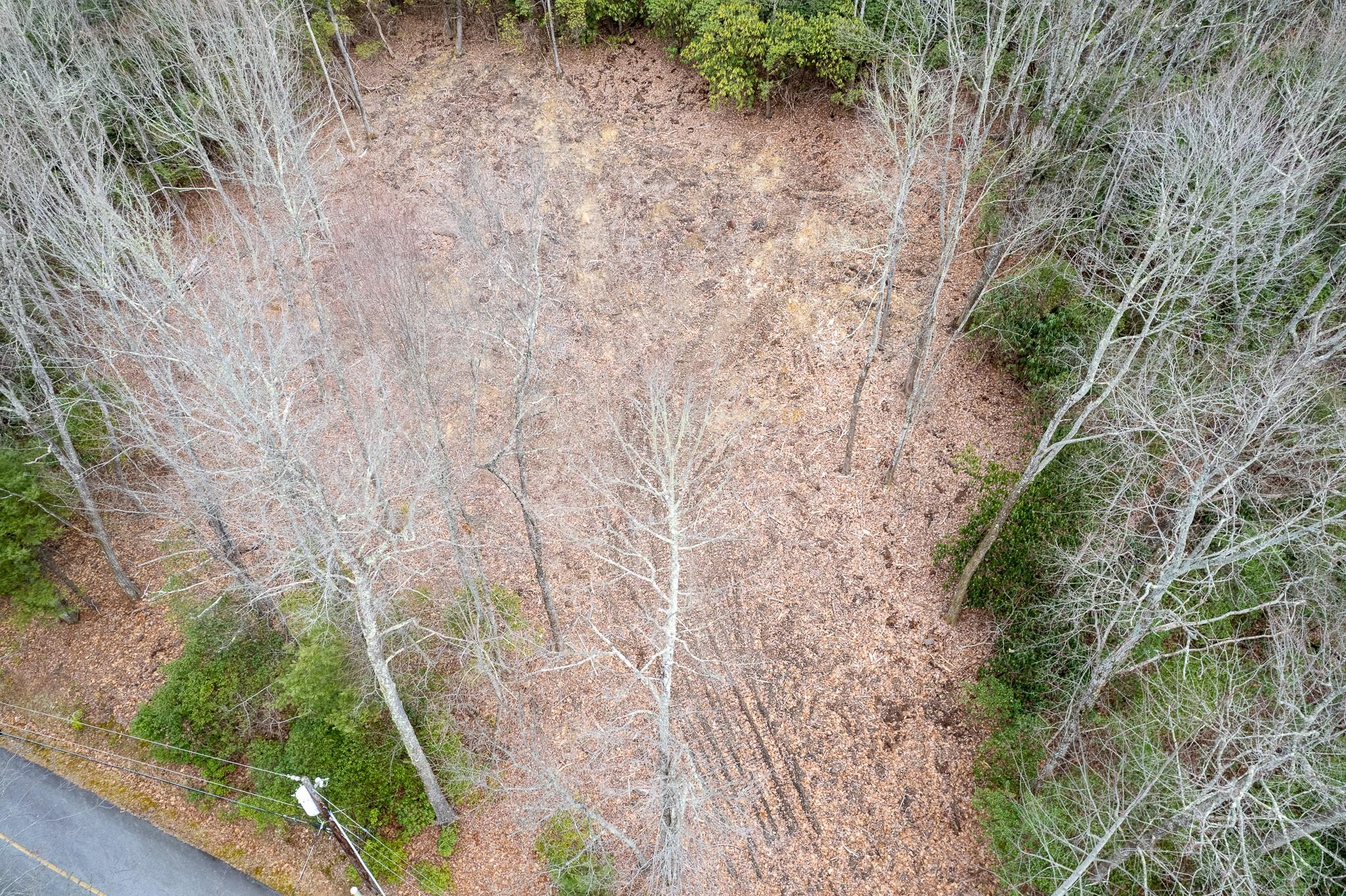 Property image 3 of Tbd School House Drive in Pisgah Forest Farms, Pisgah Forest, NC 28768