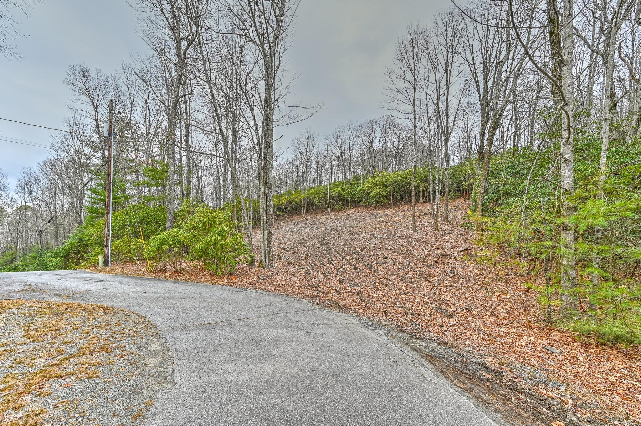 Property image 4 of Tbd School House Drive in Pisgah Forest Farms, Pisgah Forest, NC 28768