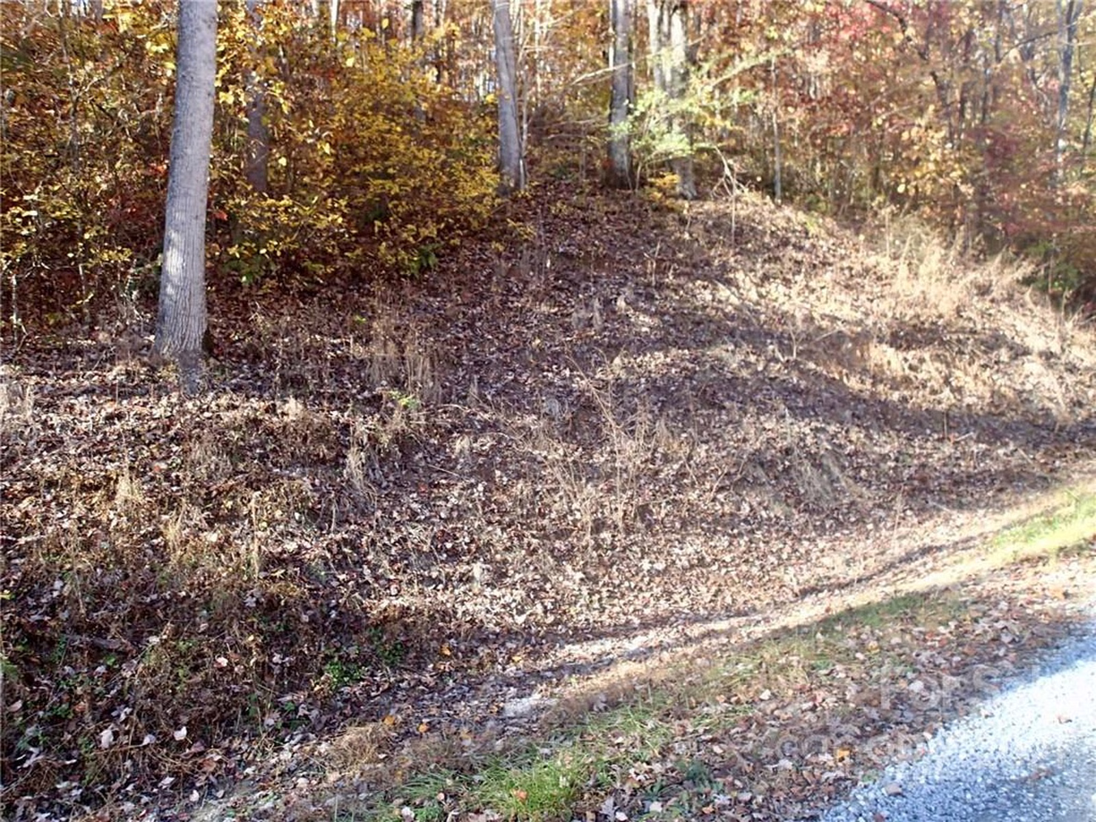 Property image 1 at Lot 55 N Haven Heights Drive, Marion, NC 28752
