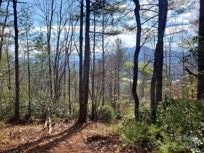 Property image 2 of Tbd Elkins Road in Lewis Jarrett, Bakersville, NC 28705
