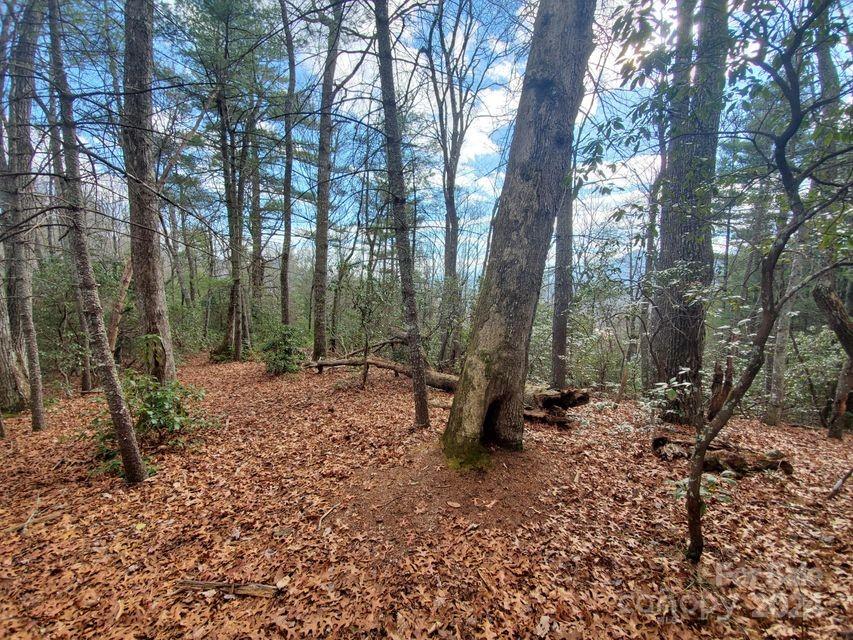 Property image 4 of Tbd Elkins Road in Lewis Jarrett, Bakersville, NC 28705