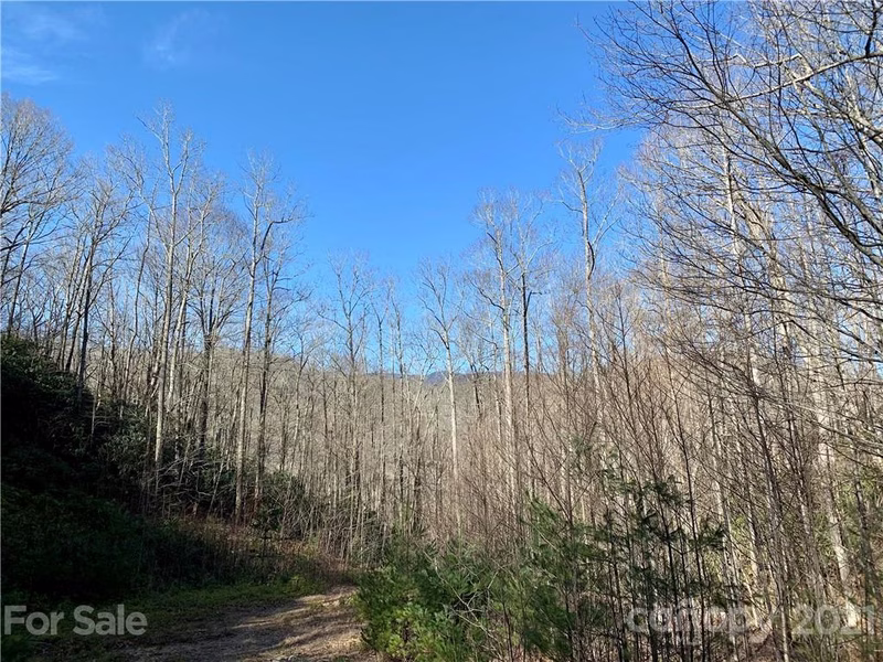 Property image 2 at 00 Golden Trout Drive, Spruce Pine, NC 28777