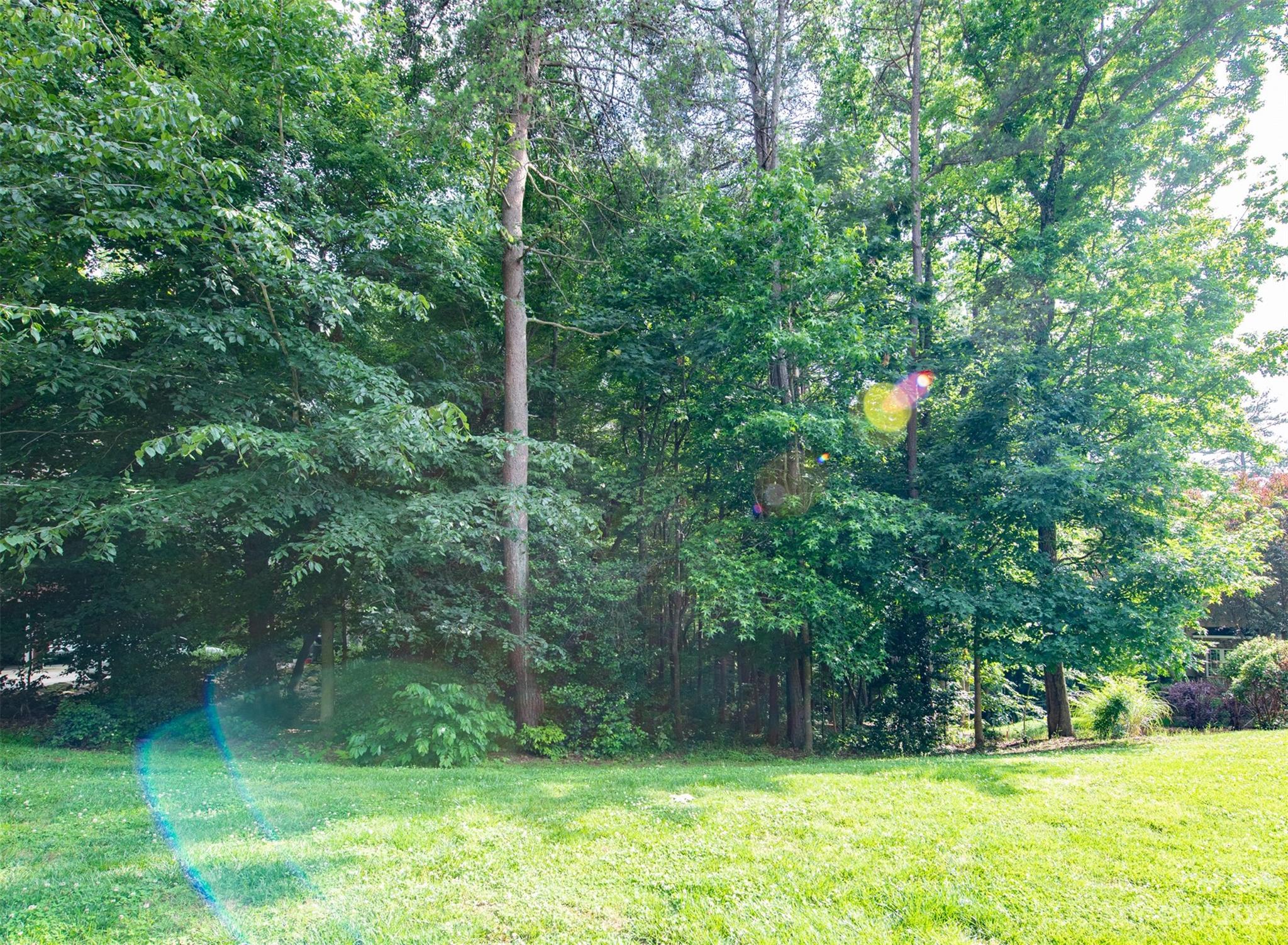Property image 2 of Lot 15 Juniper Lane in Lakewood, Denver, NC 28037