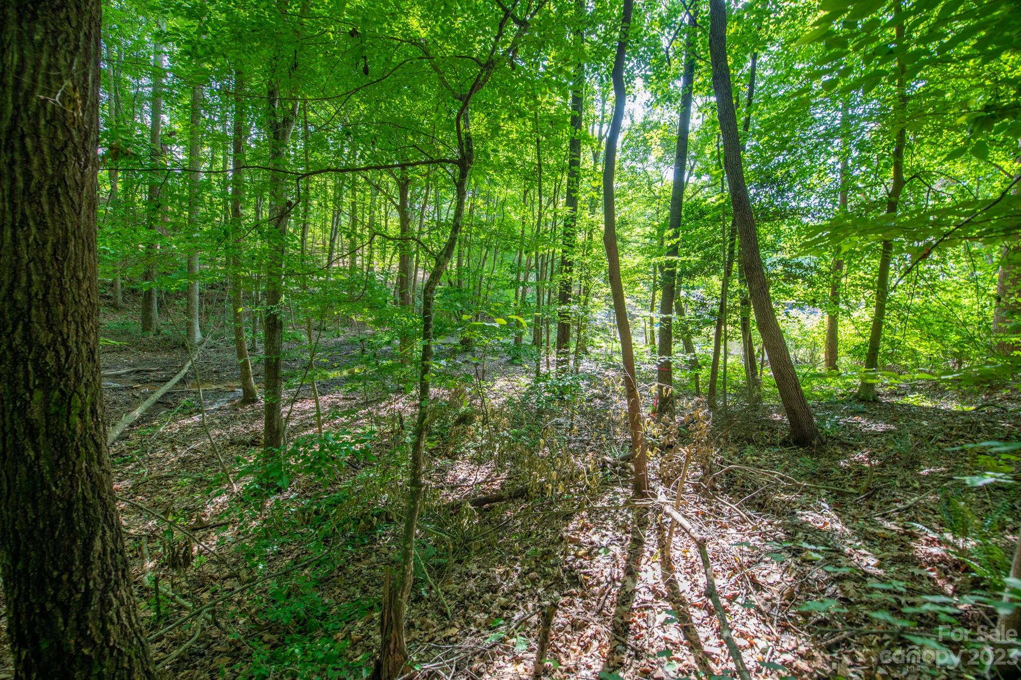 Property image 4 of Lot 15 Juniper Lane in Lakewood, Denver, NC 28037