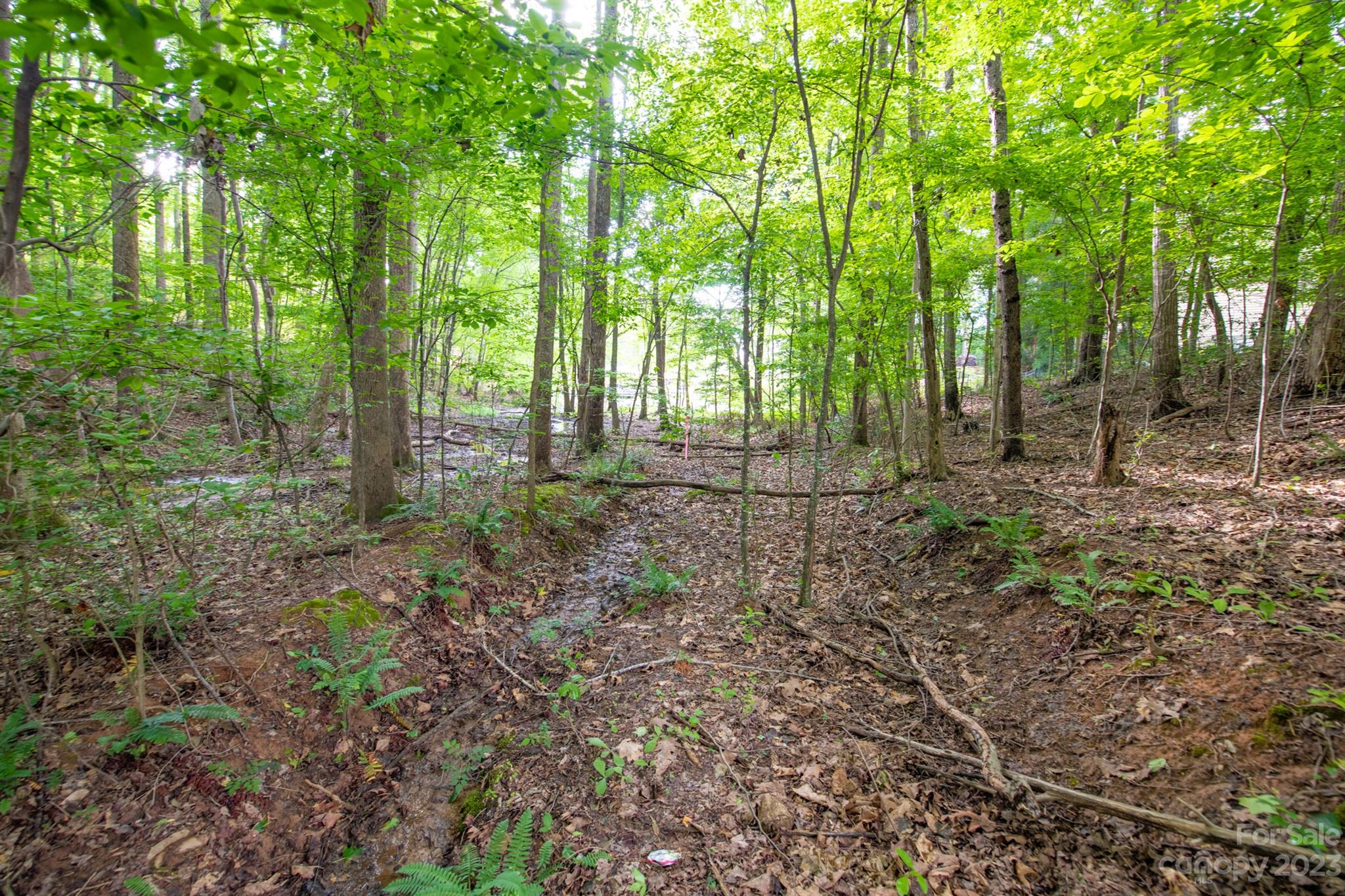 Property image 5 of Lot 15 Juniper Lane in Lakewood, Denver, NC 28037