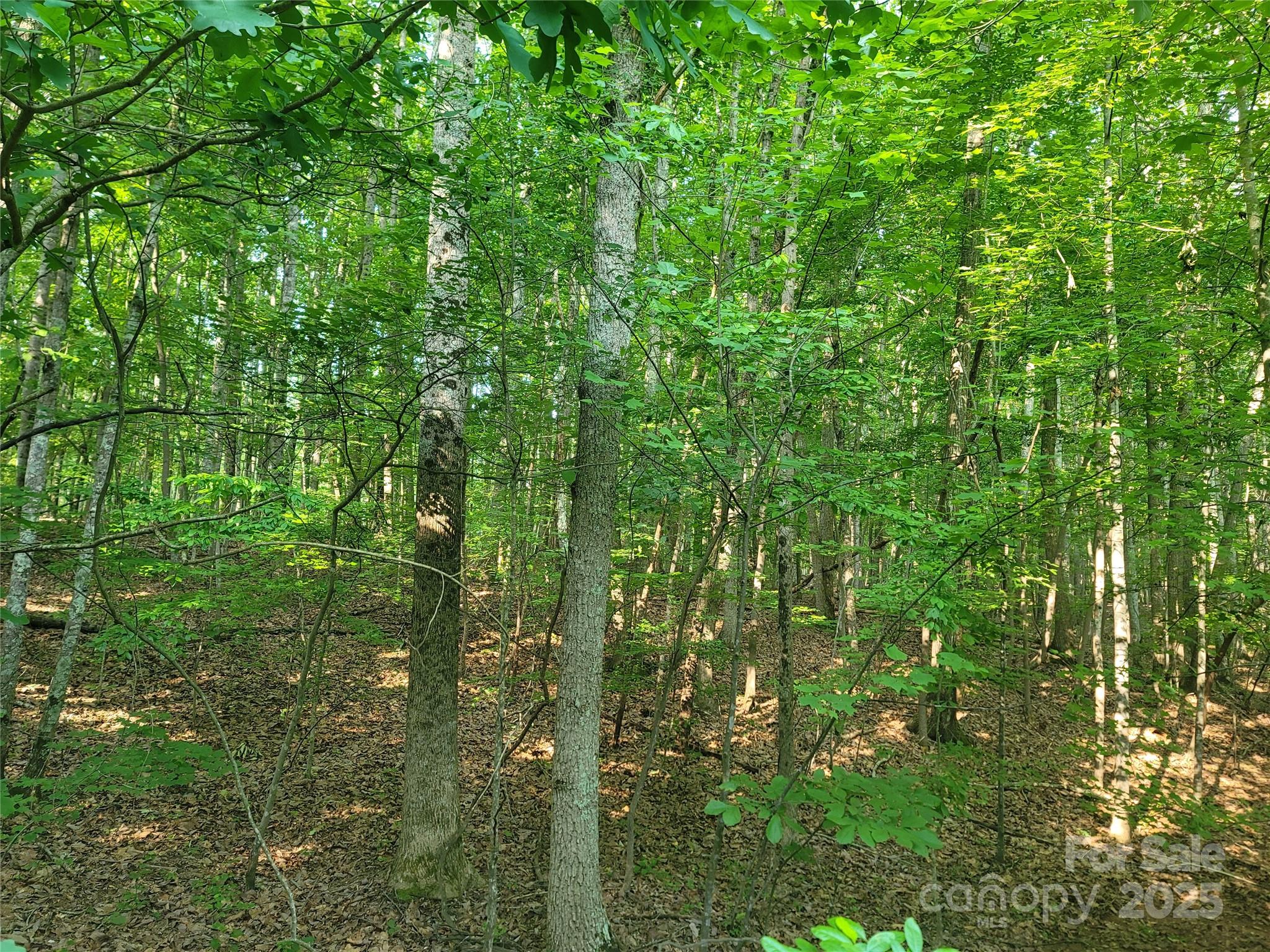 Property image 5 of L177 Laurel Cove Road in Harbor Watch, Statesville, NC 28677