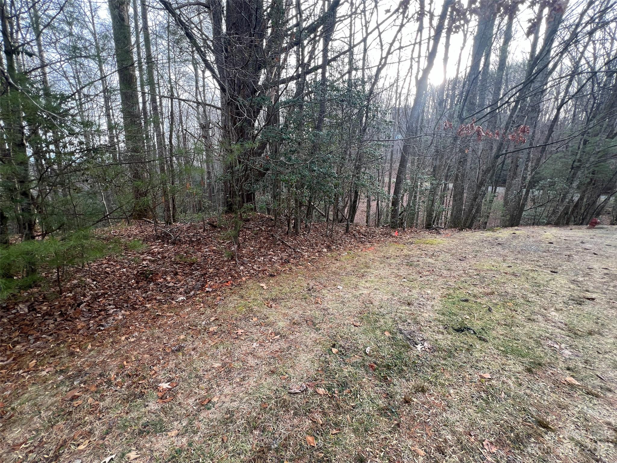 Property image 2 of 999 Usdasdi Drive in Connestee Falls, Brevard, NC 28712
