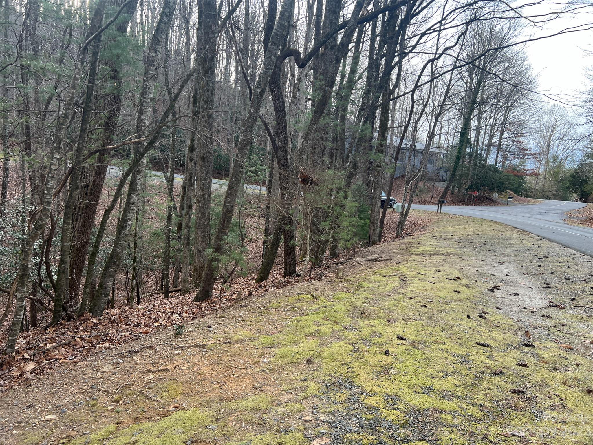 Property image 3 of 999 Usdasdi Drive in Connestee Falls, Brevard, NC 28712