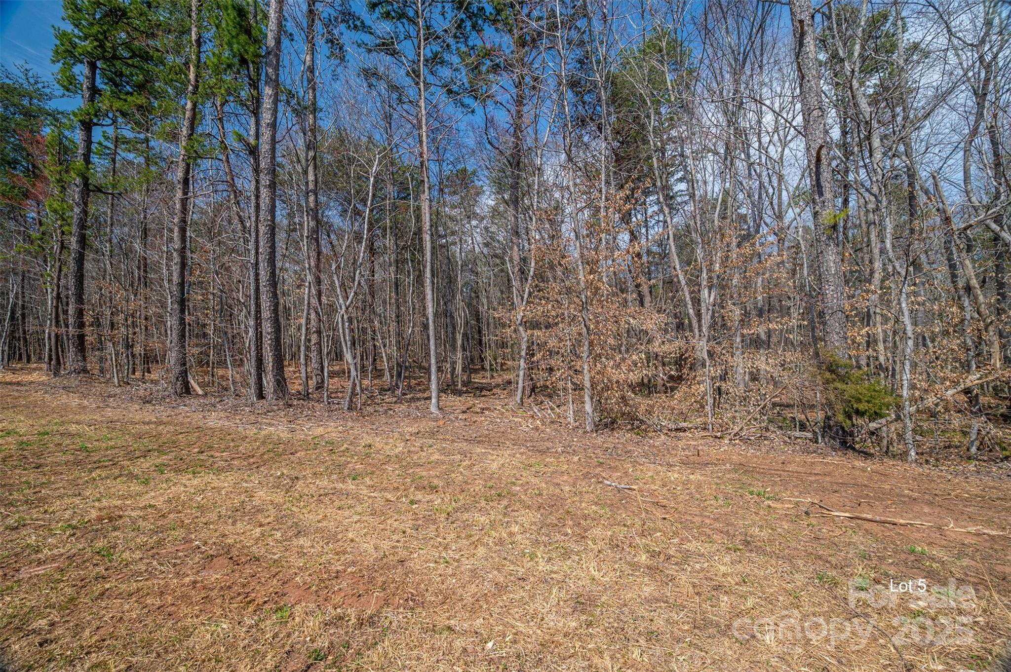 Property image 2 of 00 Forney Hill Road in The Oaks at Forney Hill, Denver, NC 28037