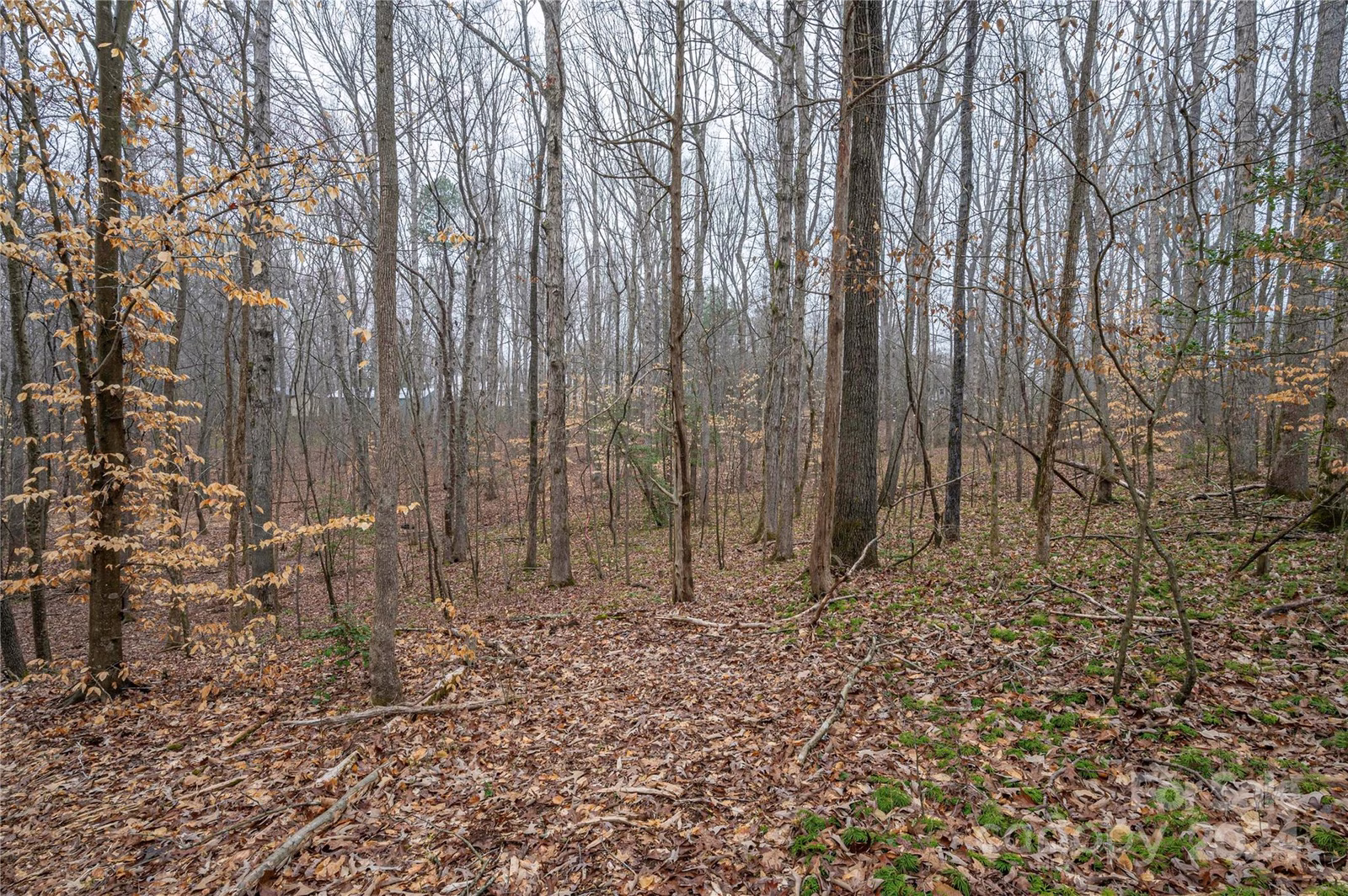 Property image 1 at 5069 Grassy Creek Road, Denver, NC 28037