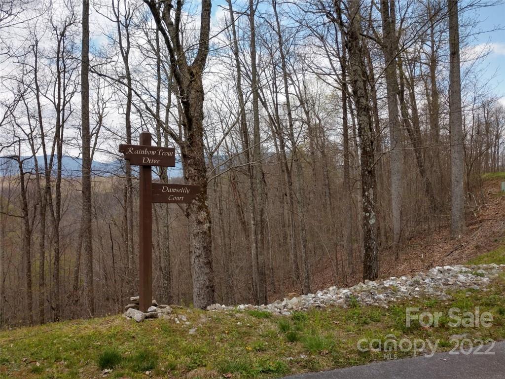 Property image 3 of 0000 Rainbow Trout Drive in Mountain Brook Estates, Spruce Pine, NC 28777