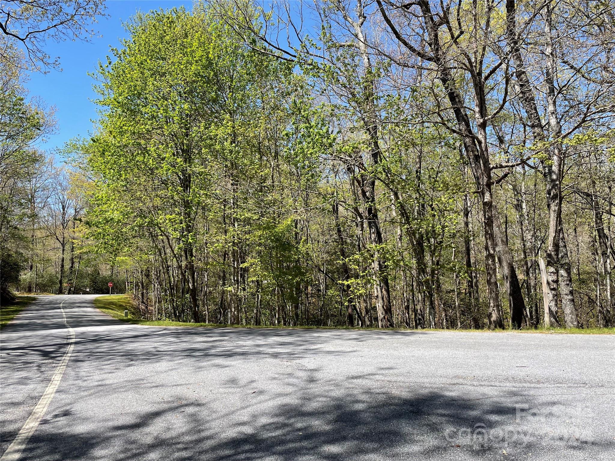 Property image 3 of Tbd Dudi Court in Connestee Falls, Brevard, NC 28712