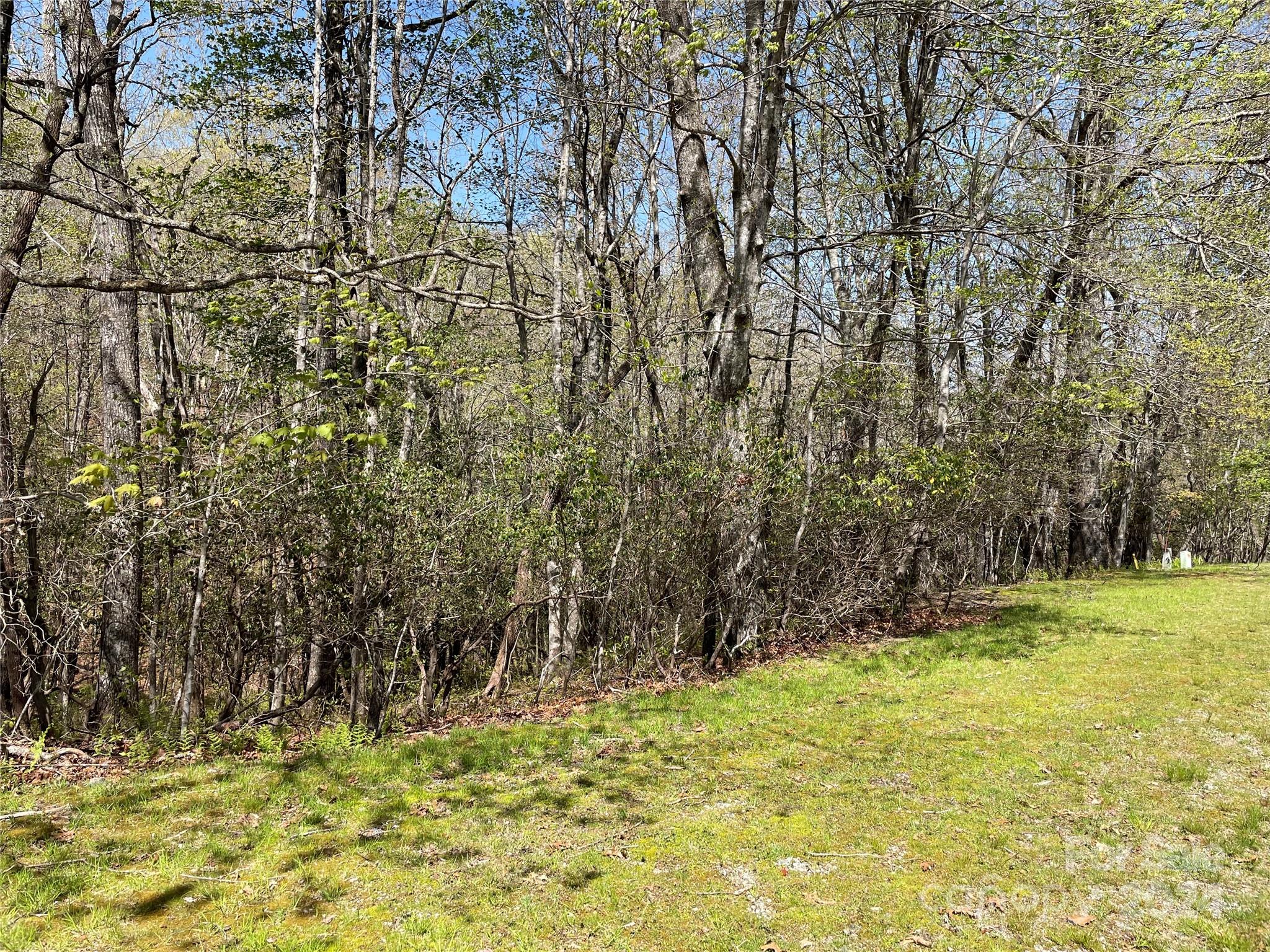 Property image 4 of Tbd Dudi Court in Connestee Falls, Brevard, NC 28712