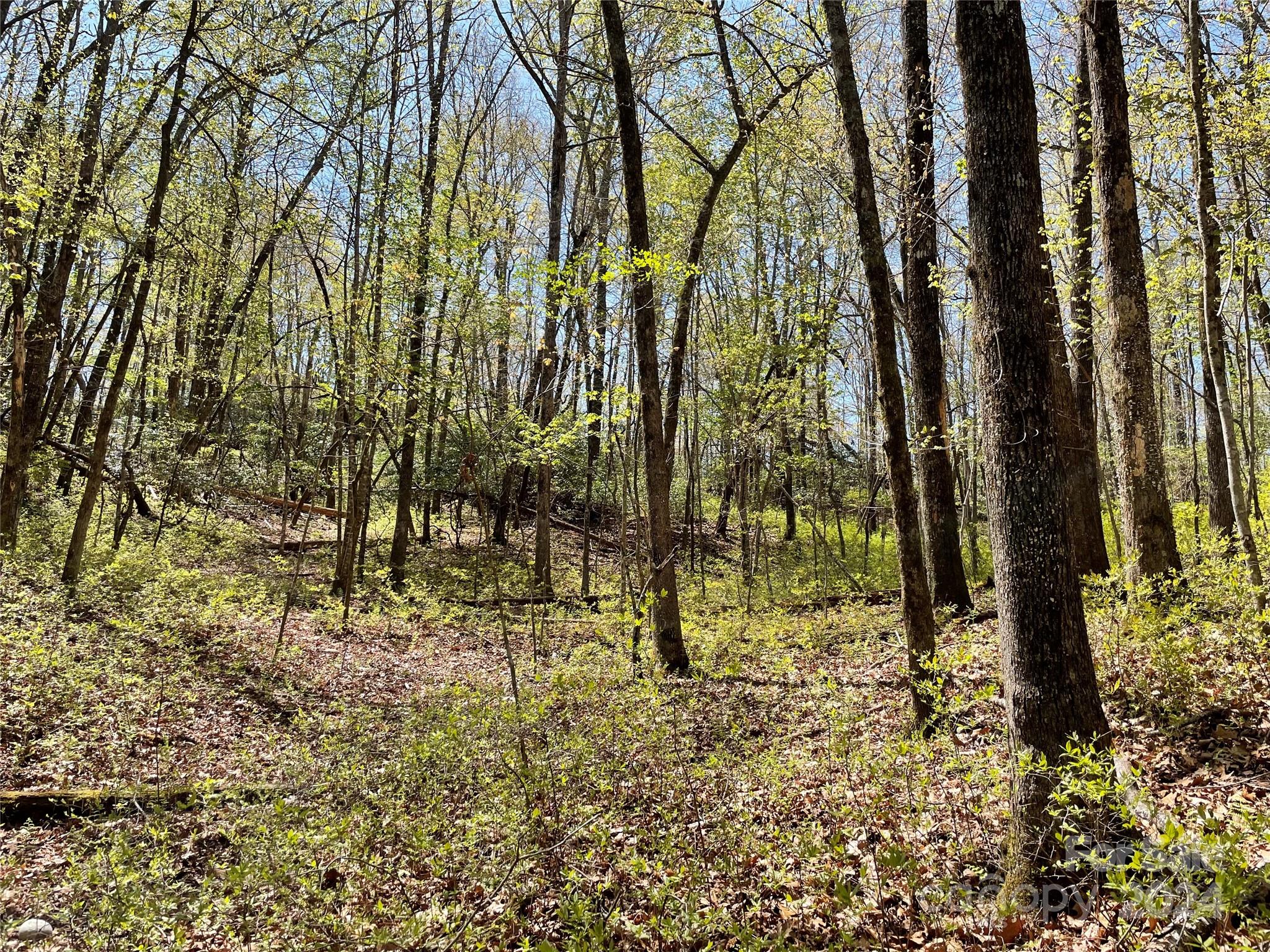 Property image 5 of Tbd Dudi Court in Connestee Falls, Brevard, NC 28712